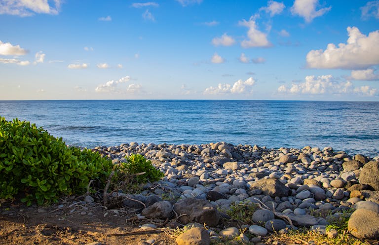 Stone on Beach